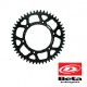Pinion Spate Otel Beta (Pana 2012)