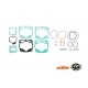 Set garnituri cilindru Ktm 250/300 2t 2017/23