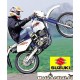 Pinion Fata Suzuki Dr Drz Rm