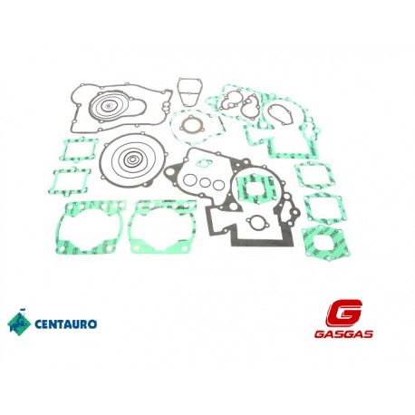 Set garnituri Motor GasGas Ec250/300