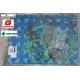 Set garnituri Motor GasGas Ec250/300