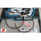 Segmenti Piston GasGas ec 250/300 2t
