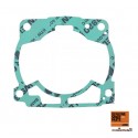 Garnitura Cilindru Ktm exc 250/300
