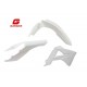 Kit Plastice GasGas 2010/11