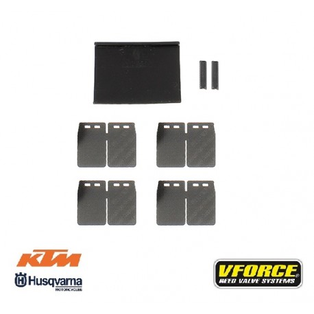Kit Lamelele Muzicute V-Force Ktm 2017/20