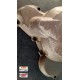 Capac Aprindere OEM Ktm Exc 250/300 2t