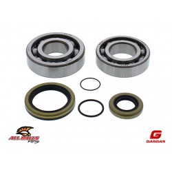 Rulmenti si Semeringuri Ambielaj GasGas 250/300 2t AllBals