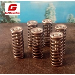 Set Bucsi/Arcuri Ambreiaj GasGas Ec 250/300 2t