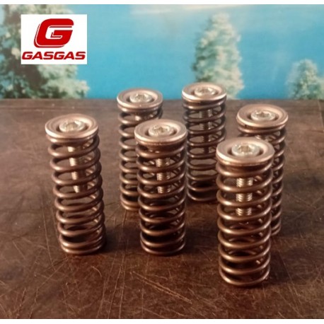 Set Bucsi/Arcuri Ambreiaj GasGas Ec 250/300 2t