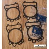 Set Garnituri Baza Cilindru Tm 250 4t