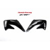 Plastice Rezervor Honda Crf 450 2002/4
