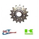 Pinion Fata Kawasaki Kxf 250