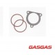 Set Garnituri evacuare GasGas 250/300