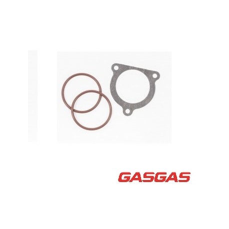 Set Garnituri evacuare GasGas 250/300