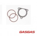 Set Garnituri evacuare GasGas 250/300