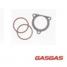 Set Garnituri evacuare GasGas 250/300