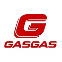 GasGas (pana 2020)